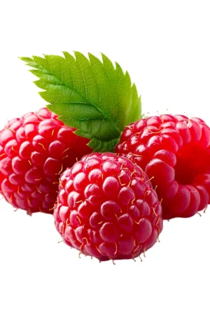 A Blend of Seasonal Fruits for Balanced Nutrition